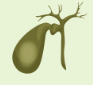 <p>gall bladder </p>