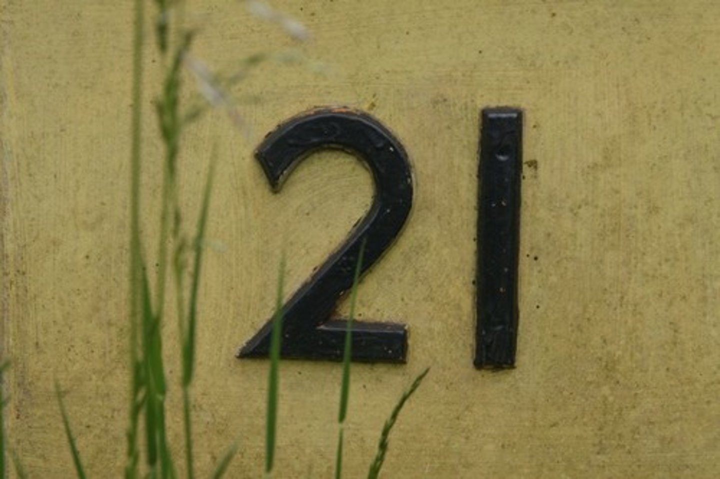 <p>twenty-one</p>