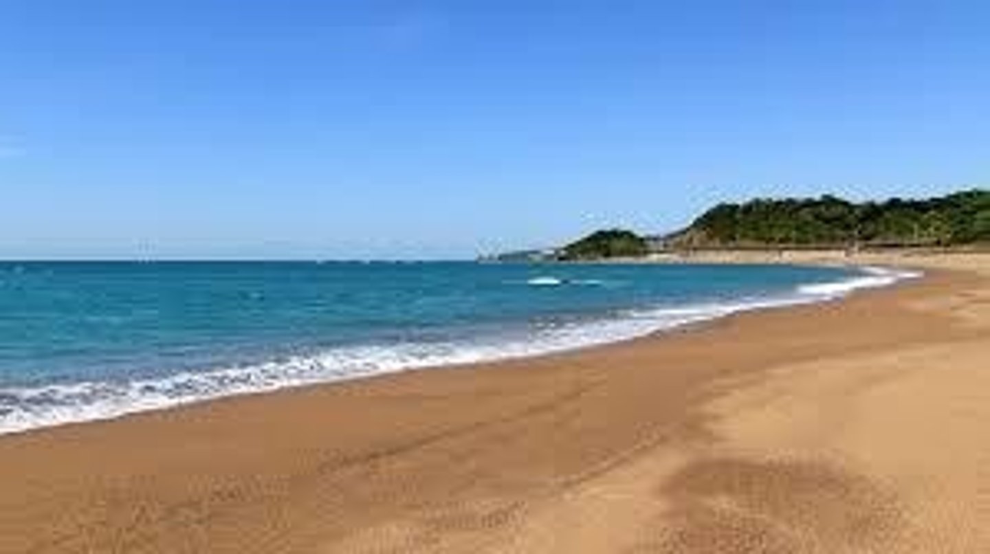 <p>It is true Wendy grew up at the seaside, but she isn't a good swimmer.</p>