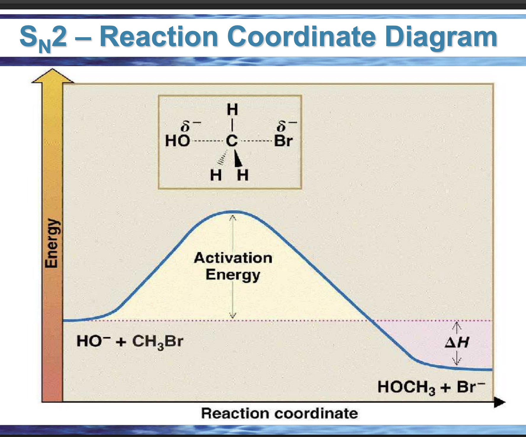 <p><strong>Front:</strong> What does ΔH measure?</p>