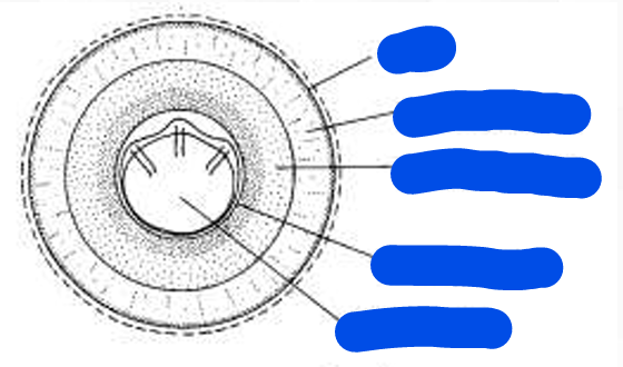 <p>stage</p><p>parts</p>