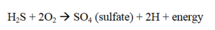 <p>h2s into sulfate + energy</p>