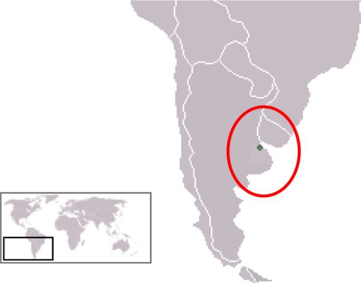 <p>The Río de la Plata (River Plate) is a major funnel-shaped estuary on the <mark>southeastern coast of South America, forming part of the border between Argentina to the south and Uruguay to the north</mark>. It serves as the confluence of the Paraná and Uruguay rivers, stretching roughly 290 km (180 mi) from its head to the Atlantic Ocean</p>