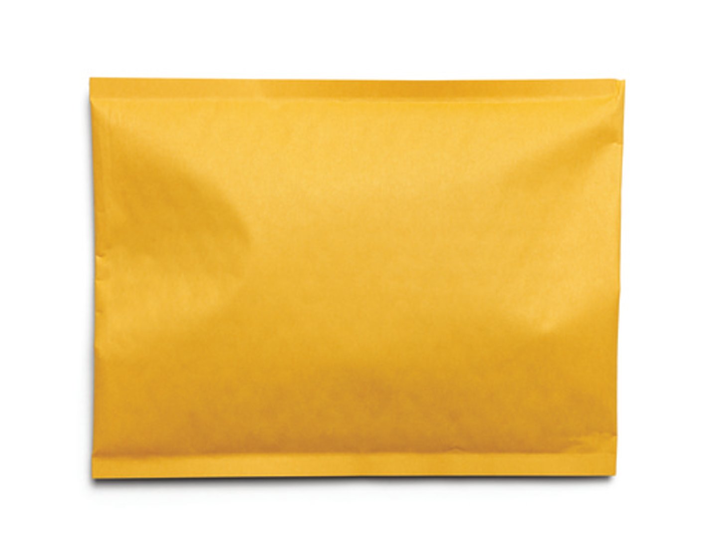 <p>padded envelope</p>