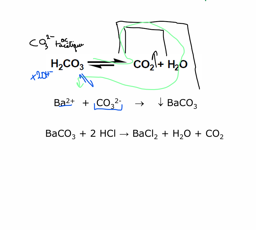 <ul><li><p>On forme à partir de CO3 2- + ac acétique du CO2 volatile </p></li><li><p>CO2 est resolubilisé en H2CO3. </p></li><li><p>Par la présence de OH- —&gt; équilibre (principe le chatelier) vers la formation de base carbonate —&gt; précipité blanc</p></li><li><p>précipité resolubilisé par HCl </p></li></ul><p></p>