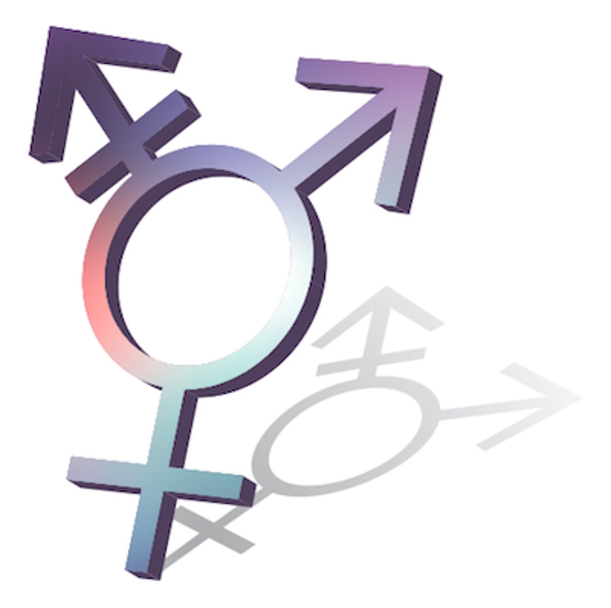 <p>gender</p>