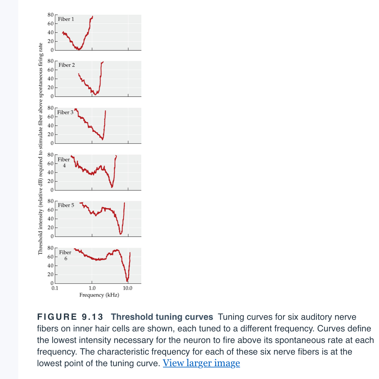 <p><span>A graph plotting the thresholds of a neuron in response to sine waves with varying frequencies at the lowest intensity that will give rise to a response.</span></p>