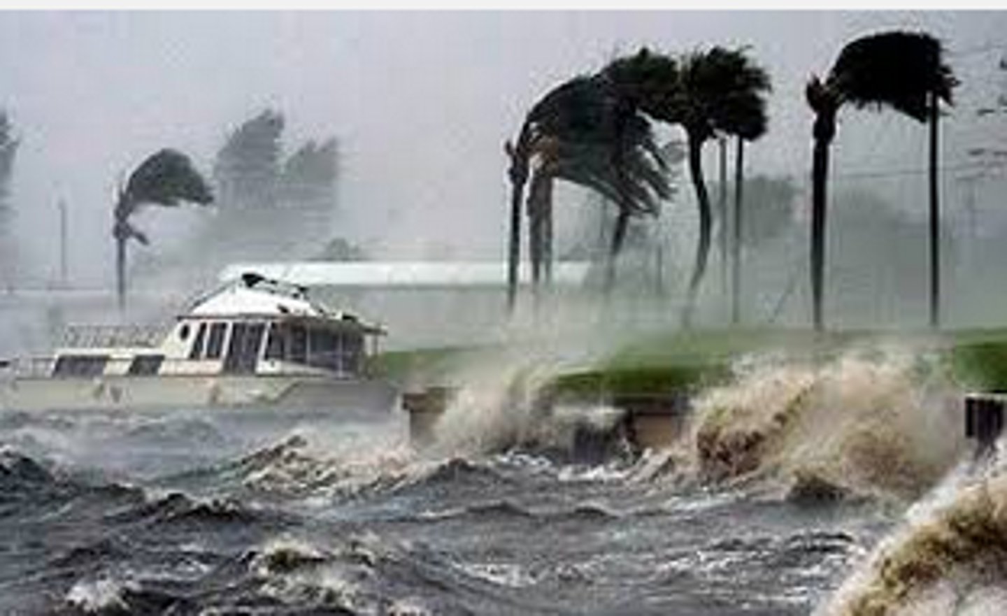<p>(tropical) storm</p>