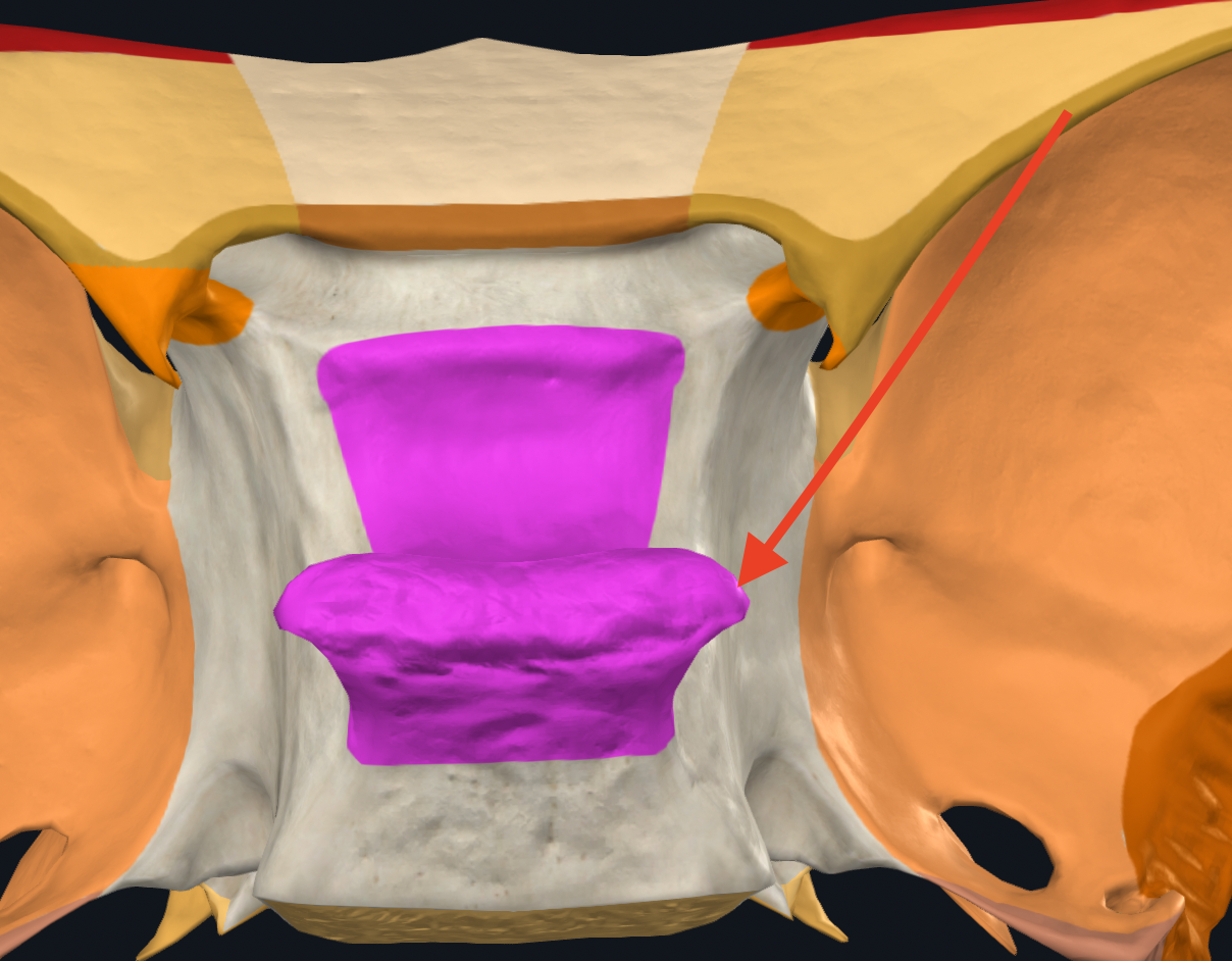 <p>posterior projection processes </p>