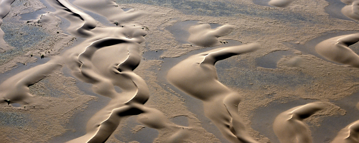 Barchan dunes