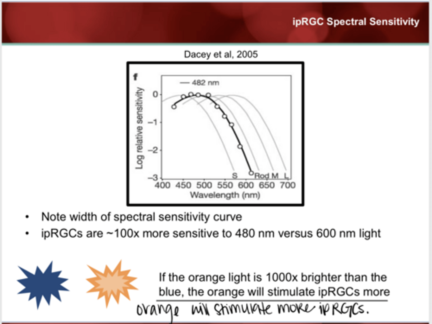 <p>if the orange light is 1000x as bright as the blue light, the (blue/orange) light will evoke greater ipRGC stimulation</p>