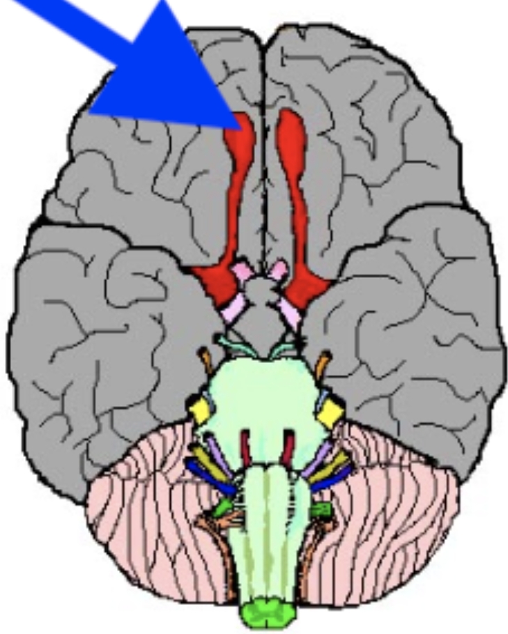 <p>What is the arrow pointing at?</p>