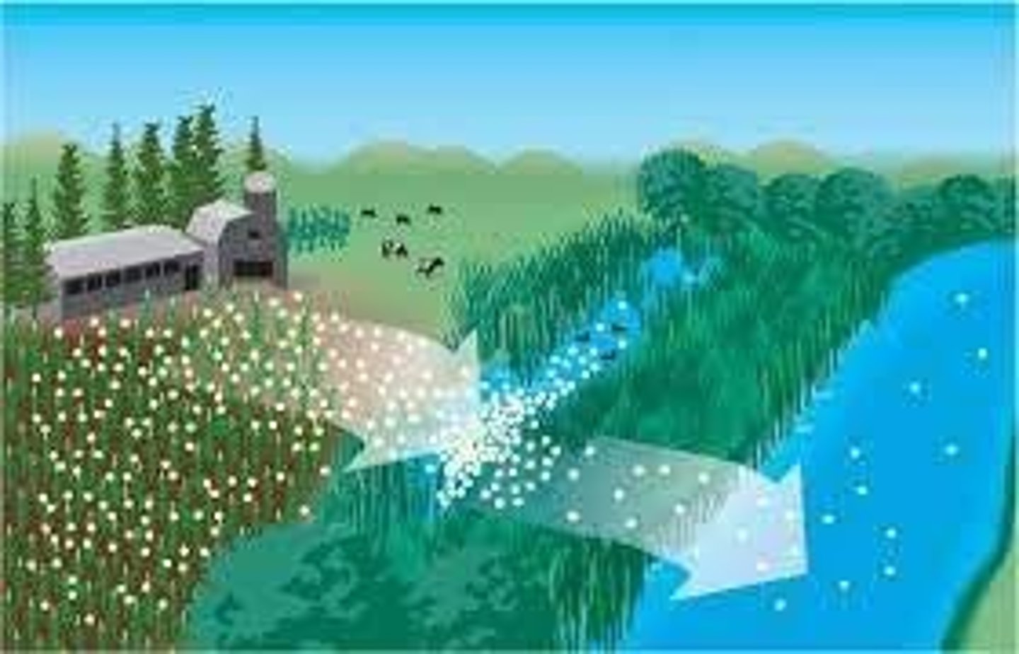 <p>overapplied fertilizer can run off into local water bodies, infiltrate into aquifers and evaporate into air. nitrates and phosphates can cause health problems</p>