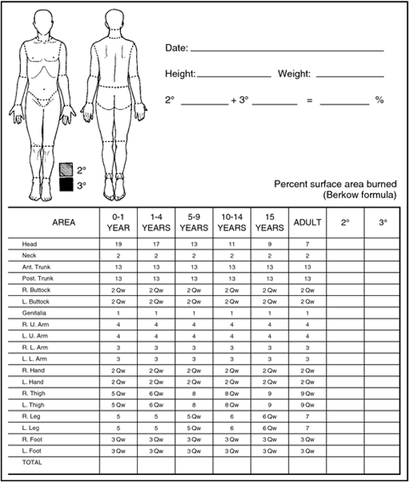 <ul><li><p><span>This is a good, quick way of estimating medium to large burns in adults.</span></p></li><li><p><span>The body is divided into areas of 9%</span></p></li><li><p><span>The total burn area can be calculated.</span></p></li><li><p><span>&nbsp;</span>It is not accurate in children.</p></li></ul>