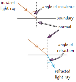 <p>Show the <strong>path </strong>that a <strong>wave </strong>travels</p><ol><li><p>Draw <strong>boundary </strong>between two materials and the <strong>normal</strong> (a line perpendicular to boundary)</p></li><li><p>Draw <strong>incident ray</strong> that <strong>meets normal</strong> at <strong>boundary</strong></p></li><li><p>Angle <strong>between ray</strong> and <strong>normal</strong> = <strong>angle of incidence</strong></p></li><li><p>Draw <strong>refracted ray</strong> on other side of boundary<br>If second material is <strong>denser</strong> than first, refracted ray <strong>bends towards</strong> normal<br><strong>Angle </strong>between <strong>refracted</strong> ray and <strong>normal</strong> (angle of <strong>refraction</strong>) is <strong>smaller</strong> than <strong>angle of incidence</strong></p></li><li><p>If second material is <strong>less dense</strong>, angle of refraction is <strong>larger </strong>than angle of incidence</p></li></ol>