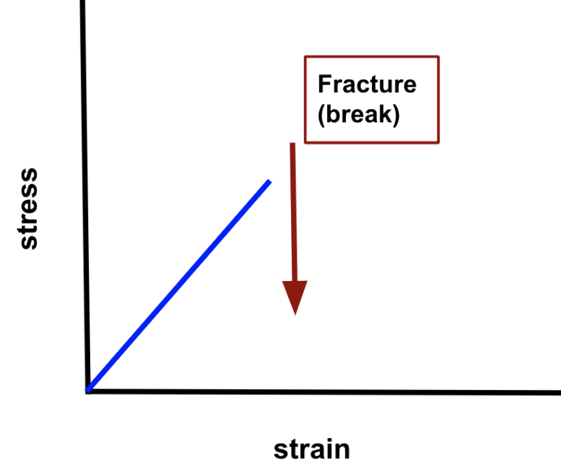 <p>materials that <strong>return</strong> to their <strong>original</strong> <strong>shape</strong> <strong>and</strong> <strong>size</strong> once strain and stress are <strong>removed</strong> <em>if</em> they do not <em>fracture</em>; <strong><span style="font-family: Arial, sans-serif">strain</span></strong><span style="font-family: Arial, sans-serif"> </span><strong><span style="font-family: Arial, sans-serif">is</span></strong><span style="font-family: Arial, sans-serif"> </span><strong><span style="font-family: Arial, sans-serif">recoverable</span></strong></p>