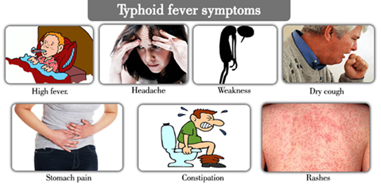 <p>Unlike <strong>non-typhoidal Salmonella</strong>, which mainly causes food poisoning with <strong>diarrhea and vomiting</strong>, typhoidal Salmonella <strong>invades the bloodstream</strong> and affects multiple organs, leading to <strong>typhoid or paratyphoid fever</strong>.</p><p><strong>Typhoidal Salmonella</strong> primarily cause <strong>systemic infections</strong> rather than localized <strong>gastroenteritis</strong>.</p>