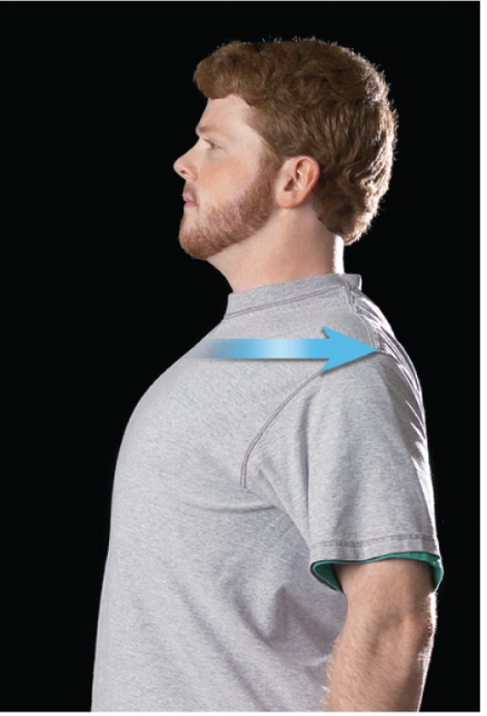 <p>the posterior movement of a body part in the transverse plane</p>