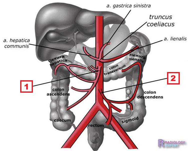 <p>2</p>