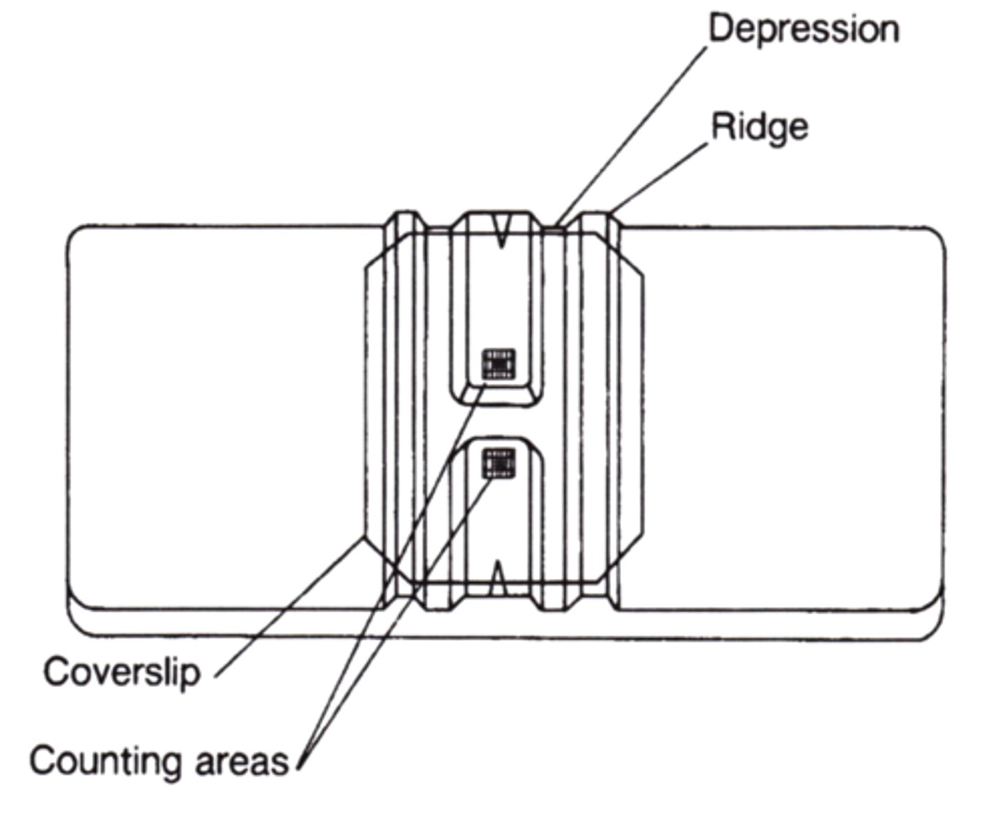 <p>Instrument used in counting blood cells</p>