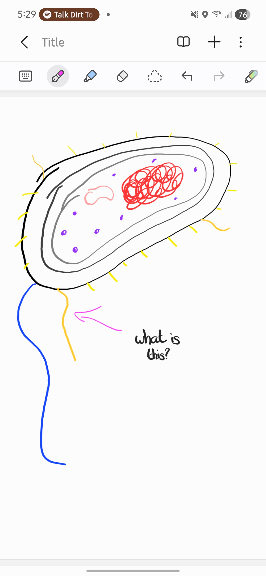 <p>What is this?</p>