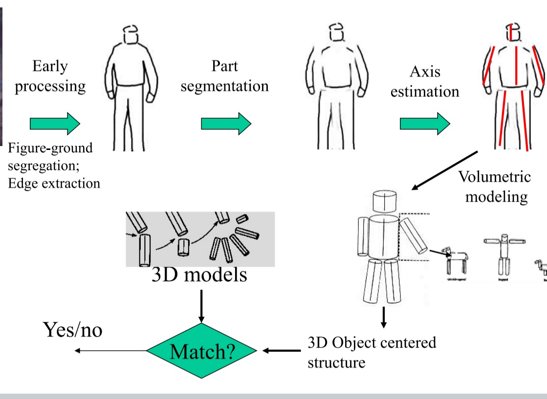 <ul><li><p>Theory on how Structural Description Theory occurs</p></li><li><p>Early processing: figure ground segregation, edge extraction</p></li><li><p>Part segmentation: seperate object to parts (head, arms, legs, torso)</p></li><li><p>Axis estimation : which body parts on which axis / orientation</p></li><li><p>Volumetric modelling ( same axis have same shaped cylinder, like 2 arms different then 2 legs , different from torso and head) → length of cylinder and orientation</p></li><li><p>See if 3D models match what you have stored in memory</p></li></ul><p></p>