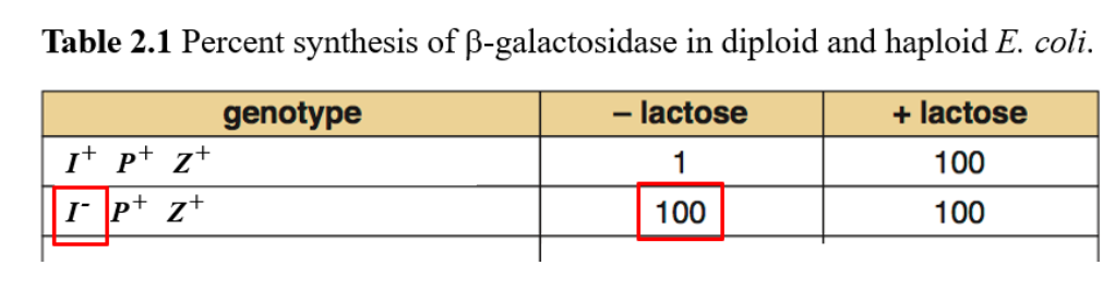 <p>What explains the "100" result in the red box?</p>