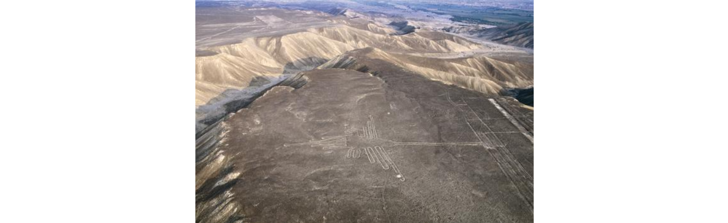 <p>Nazca Hummingbird Geoglyph</p>