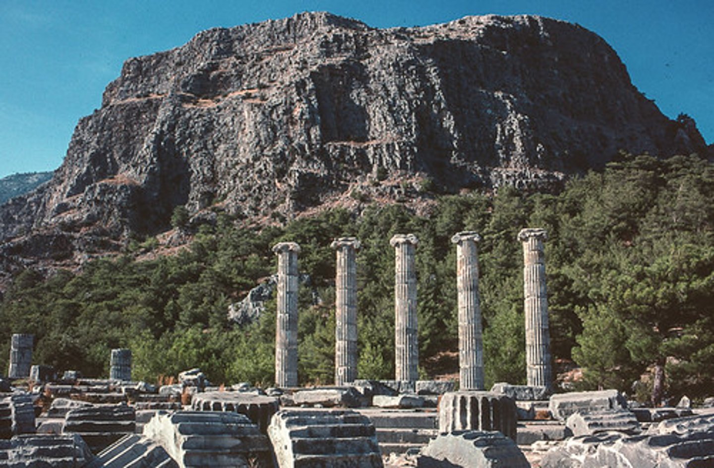 <p>Who The Temple of Athena Polias at Priene was designed by Pythius1, a Greek architect, architecture theorist, and sculptor of the 4th century BC1. The construction was sponsored by Alexander the Great2.</p><p>What The Temple of Athena Polias is an Ionic Order temple located northwest of Priene's agora, inside the sanctuary complex2. It was dedicated to Athena Polias, the patron deity of Athens2.</p><p>Where The Temple of Athena Polias is located in Priene, an ancient Greek city of Ionia, now in modern-day Turkey2.</p><p>When The temple was built around 350-330 BC2.</p><p>Why The Temple of Athena Polias at Priene is interesting and important for several reasons:</p><p>Architectural Significance: The temple is the best example of classic Ionic known, with no eccentricity of plan or detail3. It was believed to have been constructed and designed by Pytheos, who was also the architect of the great Mausoleum of Halicarnassos, one of the Seven Wonders of the Ancient World1.</p><p>Cultural Significance: The temple was dedicated to Athena Polias, also the patron deity of Athens. It was the main temple in Priene, although there was a temple of Zeus2.</p><p>Historical Significance: Its construction was sponsored by Alexander the Great during his anabasis to the Persian Empire2. An inscription on a marble flank wall block of the temple records this funding gift2.</p><p>Preservation: It was one of the Hellenistic temples that were not reconstructed by Romans2. This has allowed for better preservation of its original structure and function.</p><p>Overall, the Temple of Athena Polias at Priene provides a wealth of information about ancient Greek architecture, society, and history. It serves as a testament to the cultural and historical richness of ancient Greece.</p>