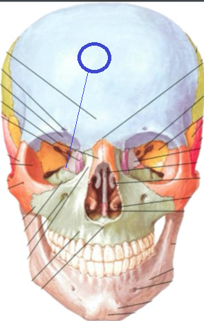 <p>Đây là chi tiết gì ? </p>