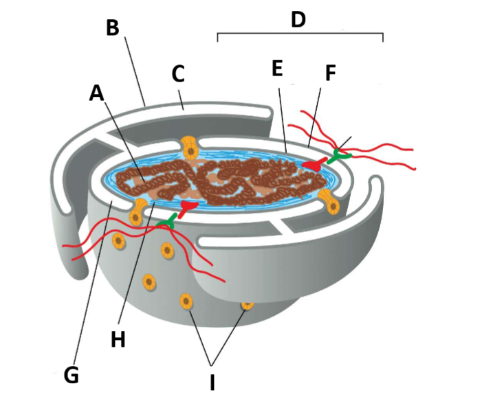 <p>Yk we needed a label question…</p>