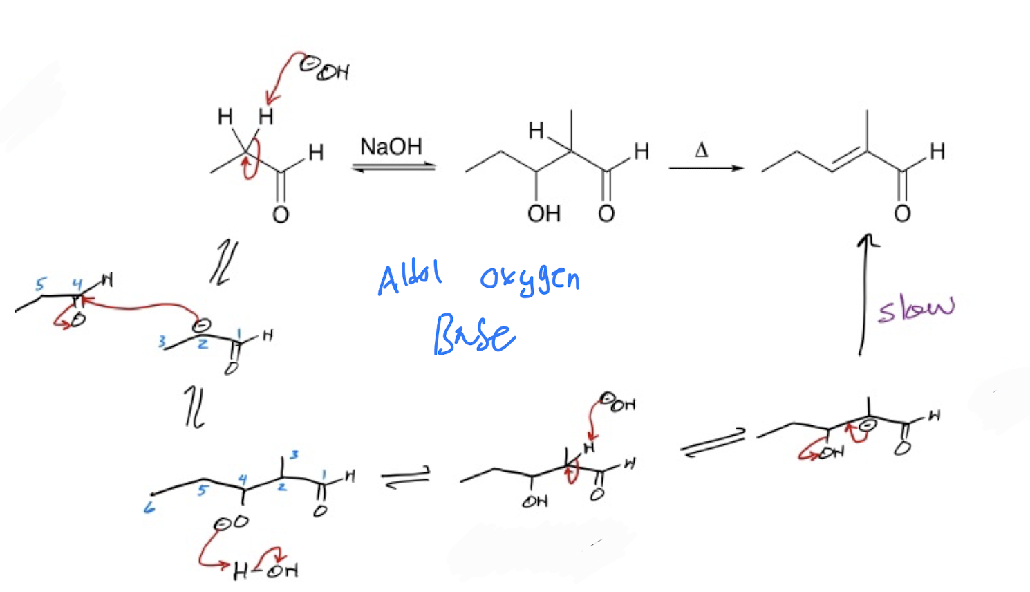 <p>Aldol with dehydration - Oxygen Base. Aldol without stops after the third equillibrium arrow. </p>
