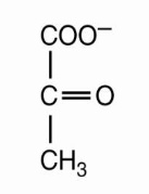 <p>pyruvate</p>
