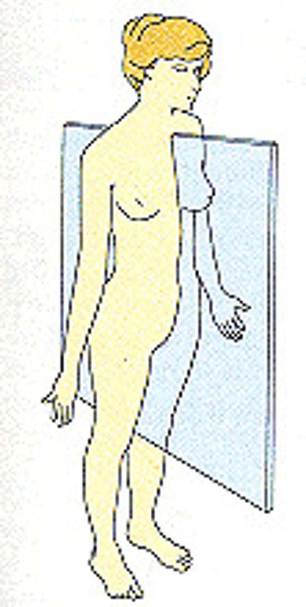 <p>Type of Sagittal plane</p><p>body is divided into EQUAL left and right</p><p>nose and navel found along line midline</p>