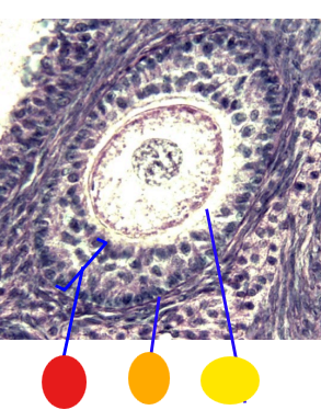 <p>What is this</p>