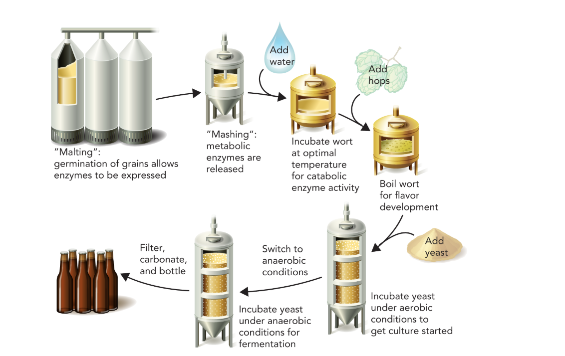 <p><strong>Q:</strong> What concept is illustrated by Figure 9.51?</p>