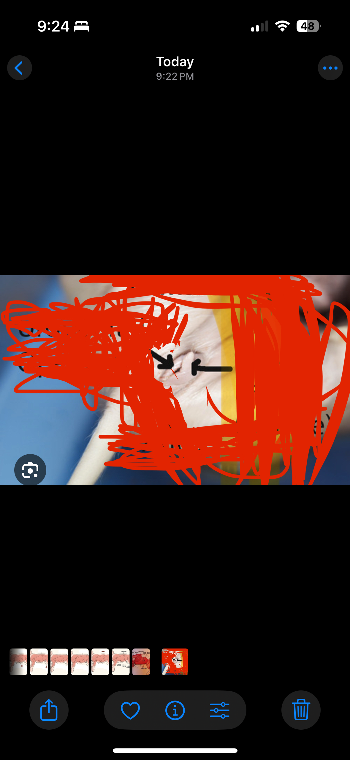 term image