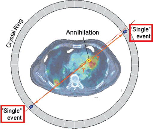 <p><span>Picks up 2 photons – the photons emitted from an <em>annihilation reaction</em></span></p>