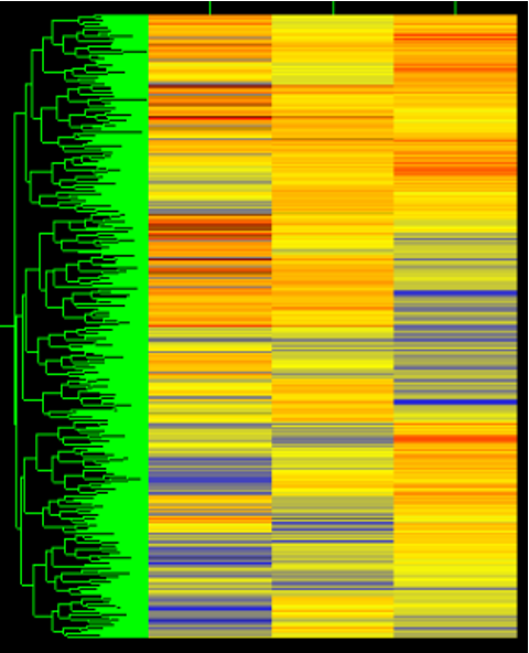 <p>A method of cluster analysis that seeks to build a hierarchy of clusters, commonly visualized as a dendrogram, to represent relationships in gene expression data. </p>