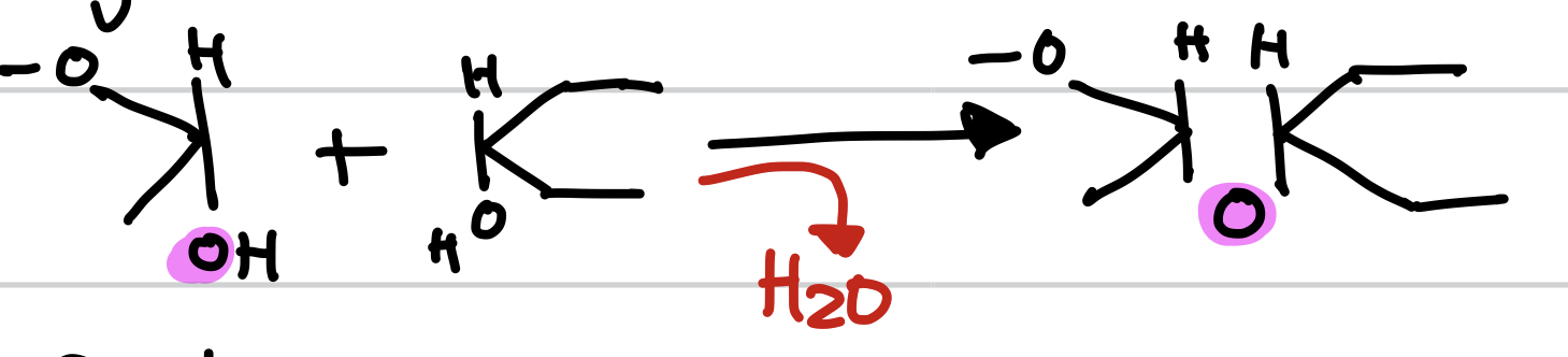 this is an example of _ and a _ reaction