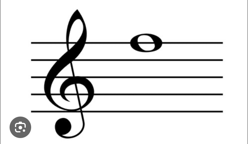 term image