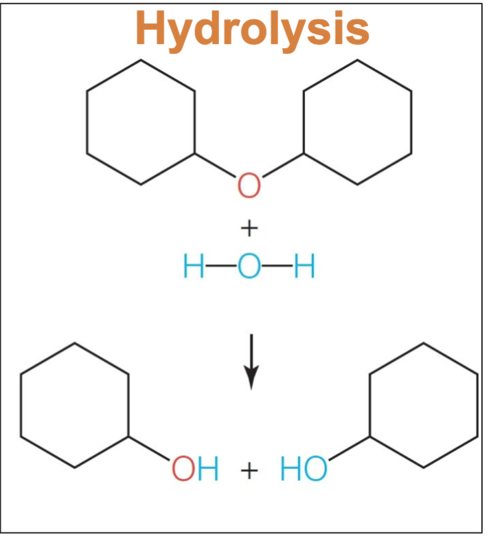 <p>Hydrolysis. Essentially the inverse of condensation. If you add water in an influx, it will be consumed to break the bonds</p>