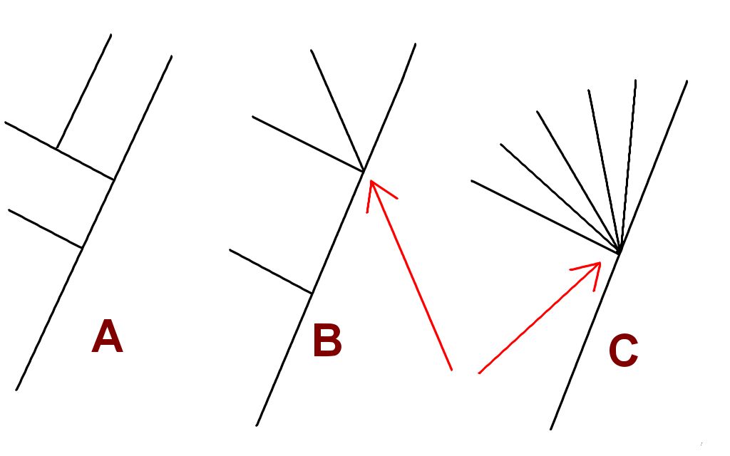 <p>A node on a phylogeny where more than two lineages descend from a single ancestral lineage </p>