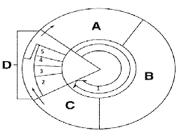 <p>What happens at  A(G1)?</p>