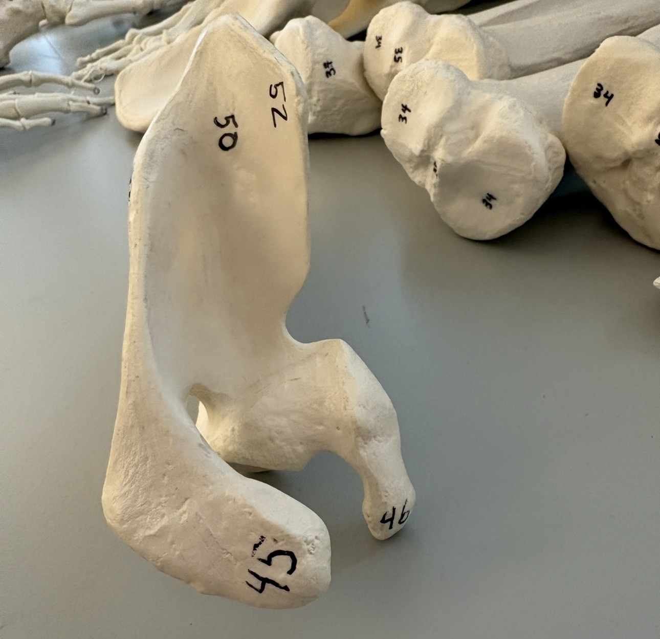 <p>What is 45</p>