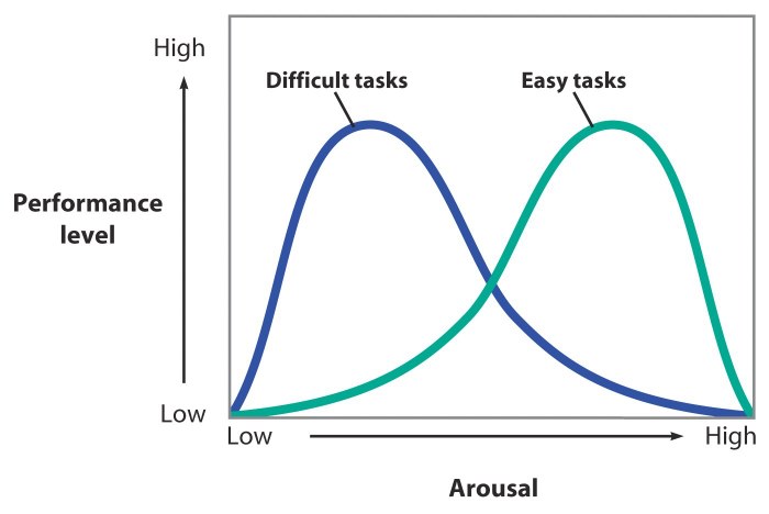 <p>The theory that a<strong> degree of psychological arousal </strong>helps <strong>performance</strong>, but only <strong>up to a point</strong>.</p><ul><li><p><strong>Optimum level</strong> of arousal <strong>depends on</strong> the <strong>difficulty of task.</strong></p></li><li><p>Each person has an<strong> optimum level of stimulation</strong> they<strong> like to maintain</strong>. </p></li></ul>