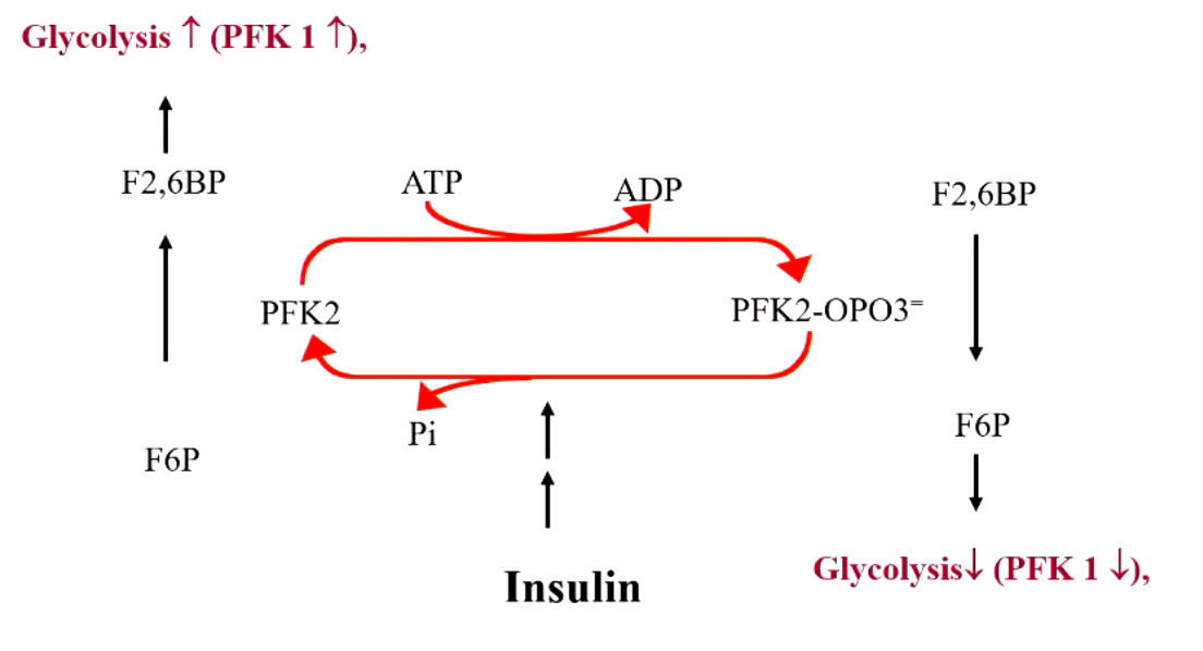 <p>explain what’s happening here</p>