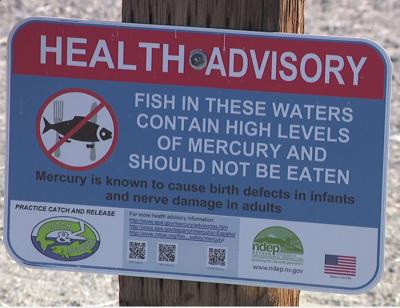 <p>Causes <strong>mental retardation</strong> and <strong>motor dysfunctions</strong>, most commonly from <strong>fish and seafood</strong> consumption.</p>