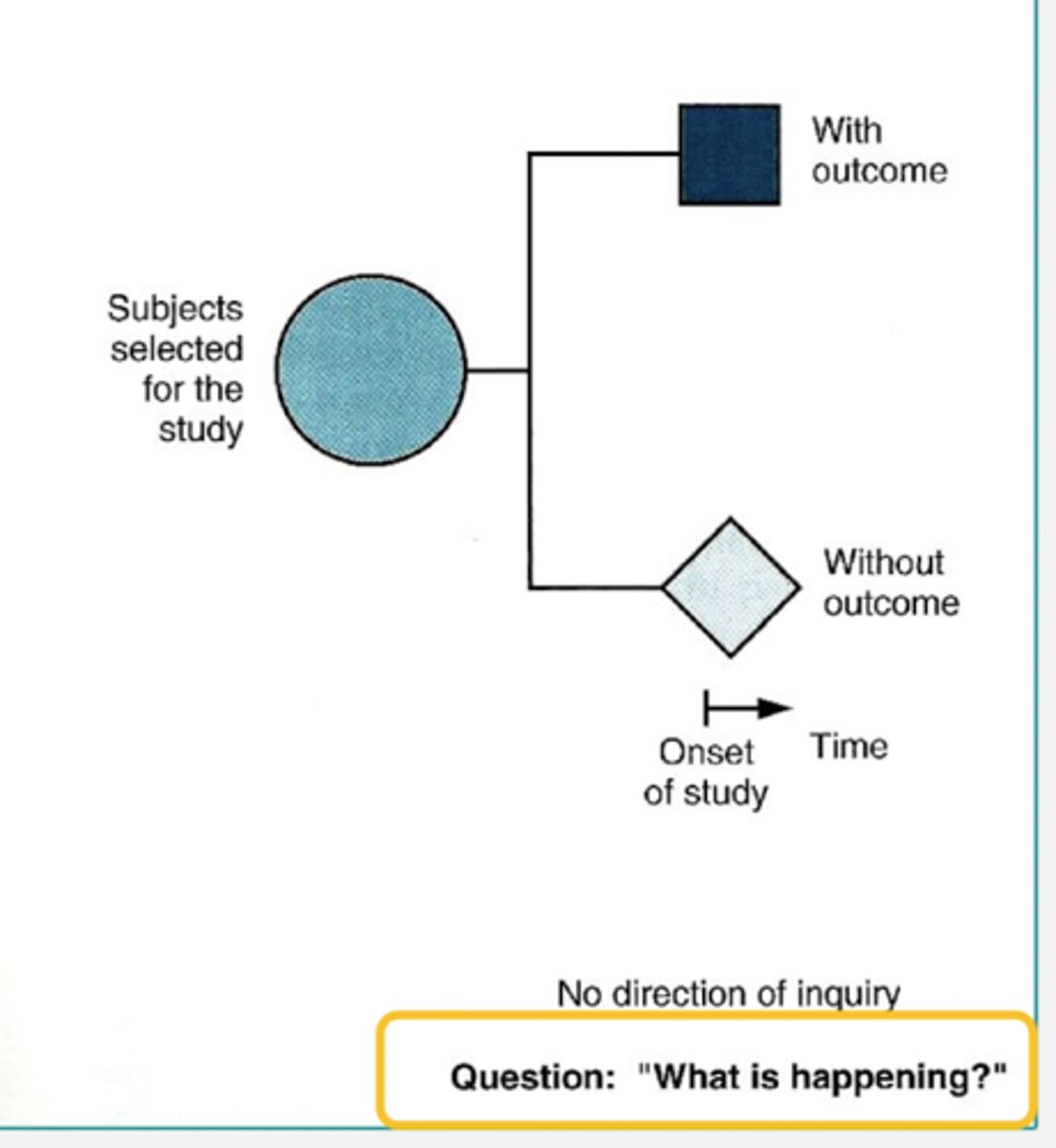 <p>What type of study does this image show?</p>