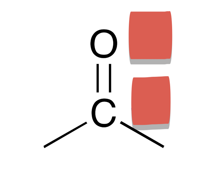 <p>In the polarized bond what are the partial charges?</p>